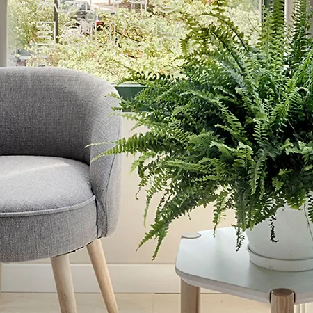 ホテル Opera House 3*